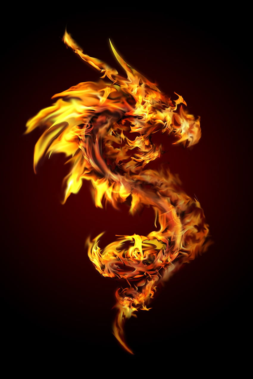 Dragon Logo Wallpaper (71+ pictures)