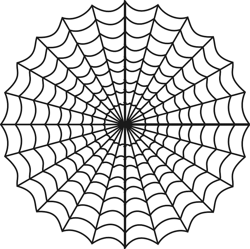 Transparentes Spinnennetz Png HD-Hintergrundbild