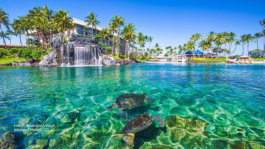 Background for Video Conferences and, Kona Hawaii HD wallpaper