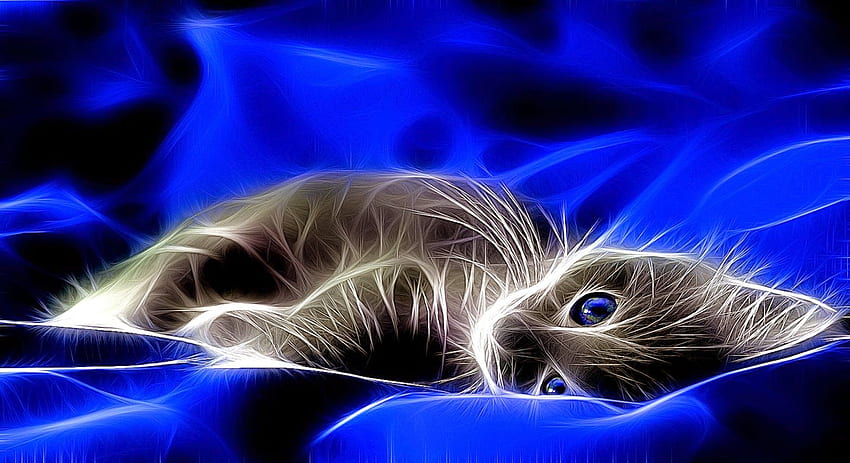 Bewegliche Katzen 3D, entzückendes 3D HD-Hintergrundbild