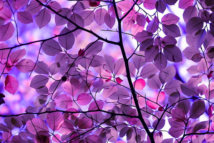 Campo di fantasia con il computer dell'albero viola. foglia, viola, alberi viola Sfondo HD