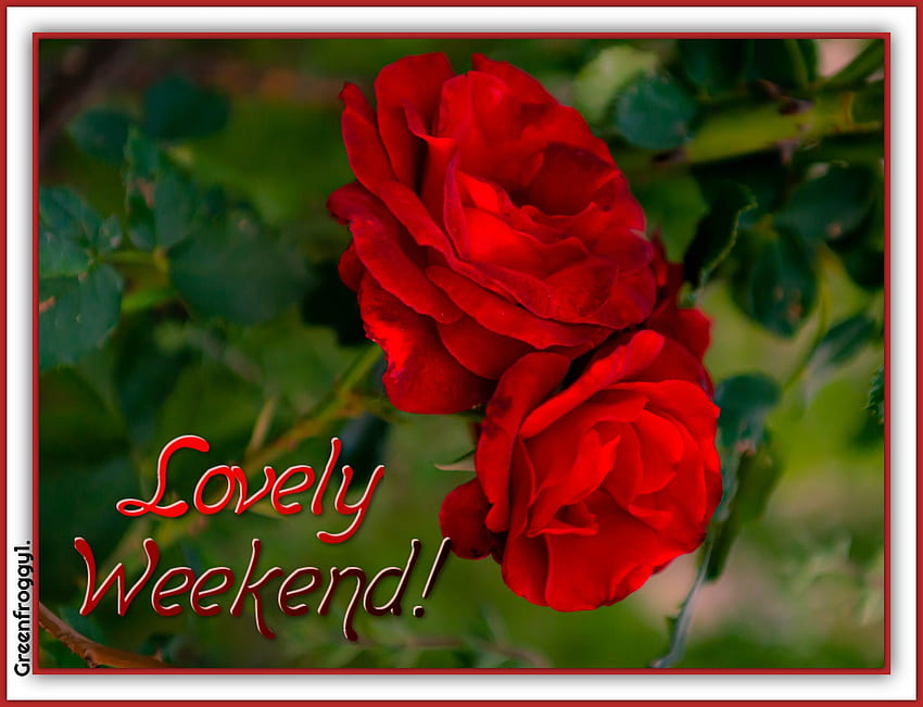 LOVELY WEEKEND, LOVELY, WEEKEND, COMMENT, CARD HD wallpaper | Pxfuel