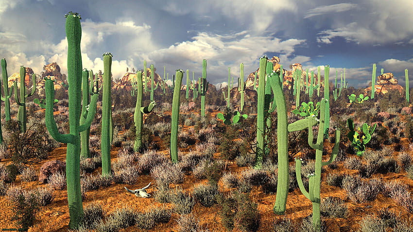 Kaktus na pustyni w Meksyku - Sztuka 3D - - 16 9 Ultra Tapeta HD