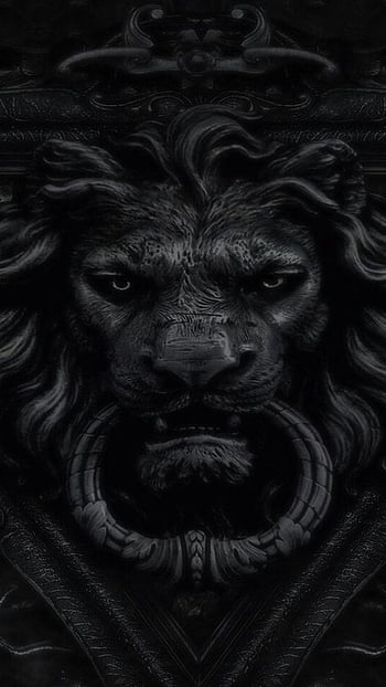 Black Lion, Lion Laptop HD wallpaper | Pxfuel