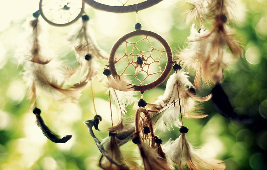 O Sol, Luz, Dreamcatcher, Dreamcatcher - Pc Dreamcatcher - - , Dream Catcher Computer papel de parede HD