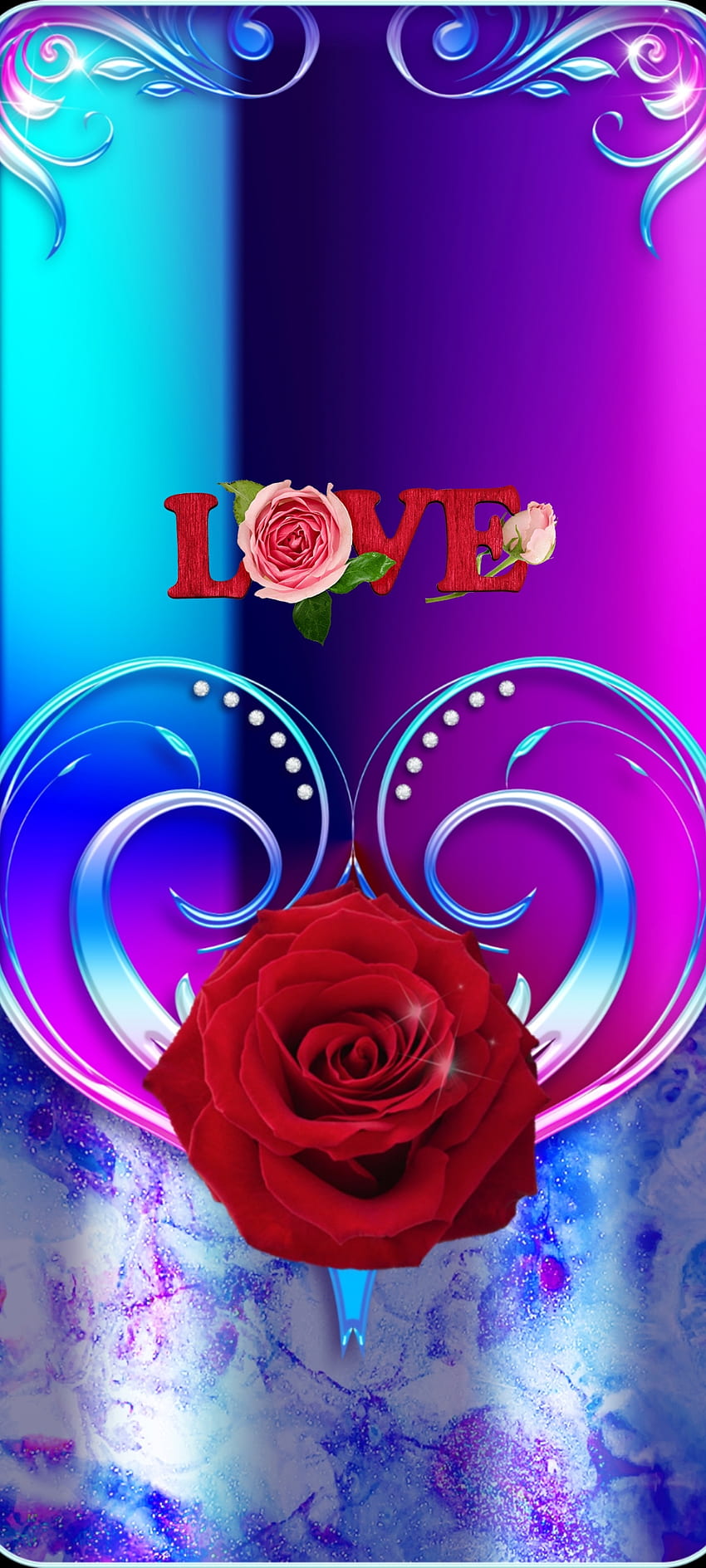 Blue Brave heart Love, hybrid tea rose, beautiful, pink, premium ...