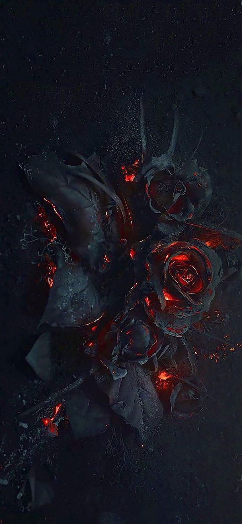 Burn this love. Gothic , Black roses , Rose, Dark Red Phone HD phone wallpaper