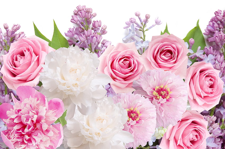 Blumen, Pfingstrosen, Rosen, Flieder, Blumen, Pfingstrosen, Rosen, Flieder / und mobiler Hintergrund HD-Hintergrundbild