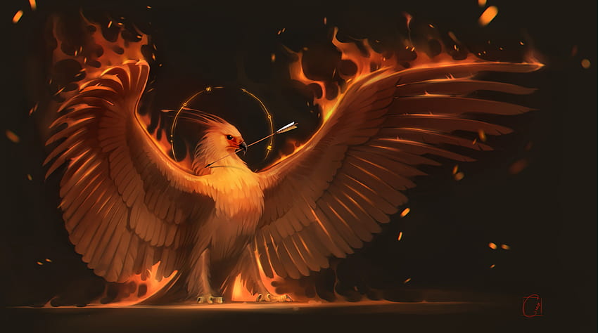 White eagle with fire wings graphic HD wallpaper