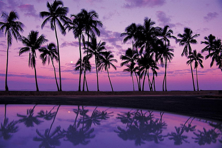 Purple Sunset, Purple Ocean Sunset HD тапет