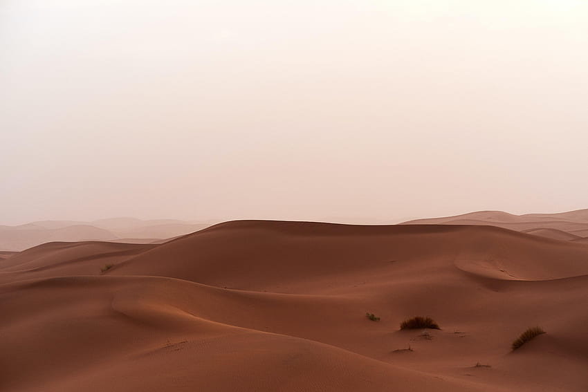 Nature, Grass, Sand, Desert, Horizon, Dunes HD wallpaper