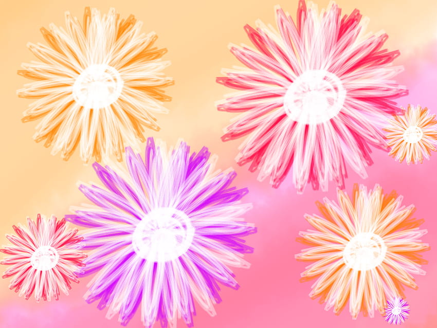 Hippie Flowers. jpg, colors, flowers, fun, funky HD wallpaper