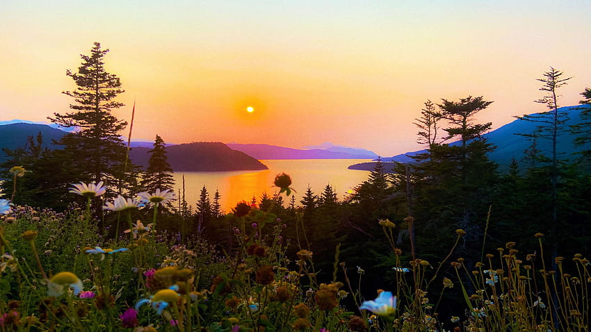 Rocky Harbour, Gros Morne National Park, Newfoundland, landscape, colors, trees, sky, canada, water, sun HD wallpaper