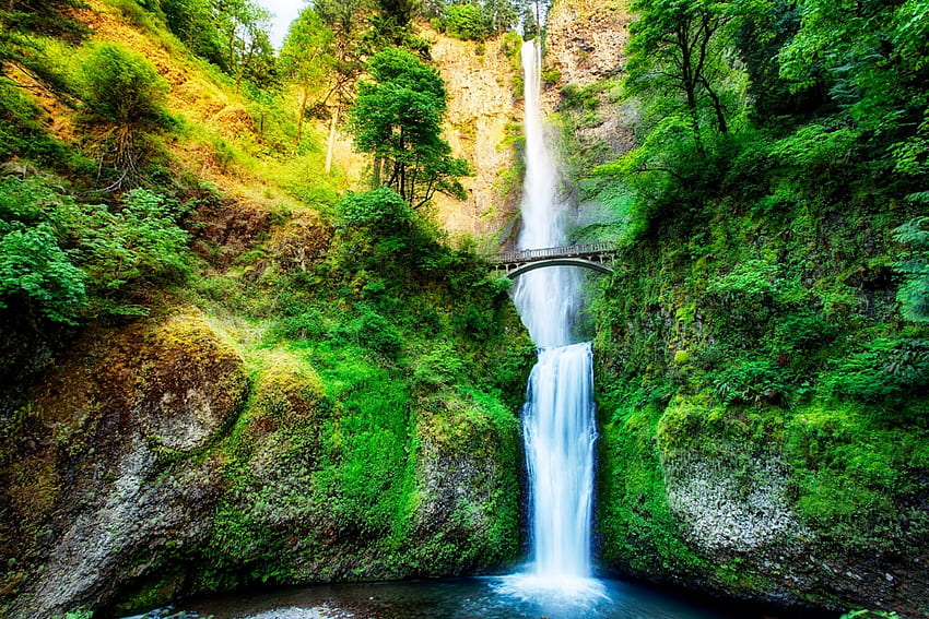 Multnomah-Falls-in-Oregon, растения, графика, диви животни, оферти, джунгла, планини, вода, пейзаж, водопади, скали, дърво, камъни, зелена природа, природа, гора, поток HD тапет