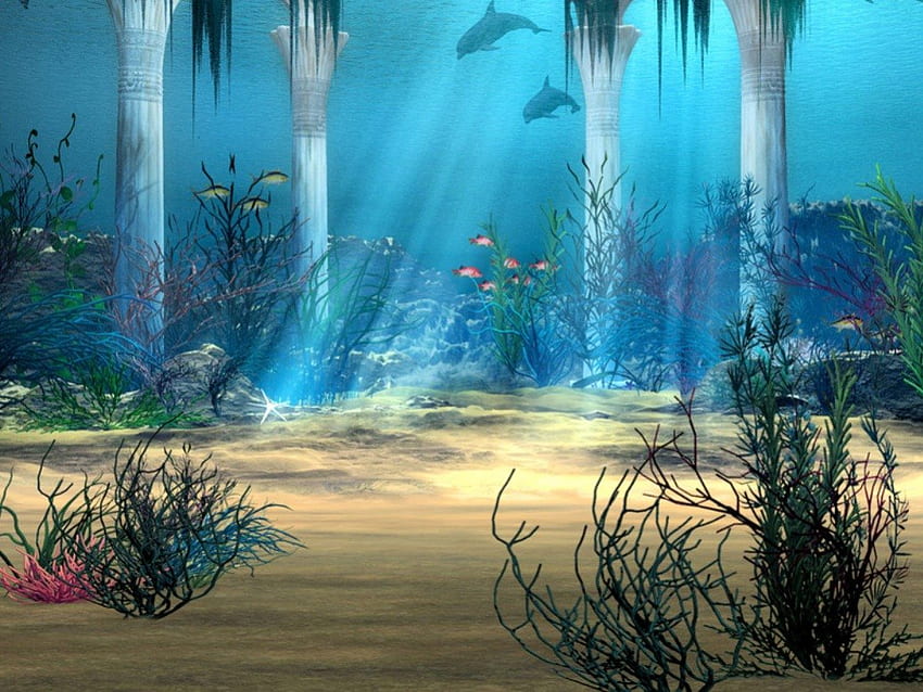 Scena subacquea, sott'acqua, acqua limpida, fresca, oceano Sfondo HD
