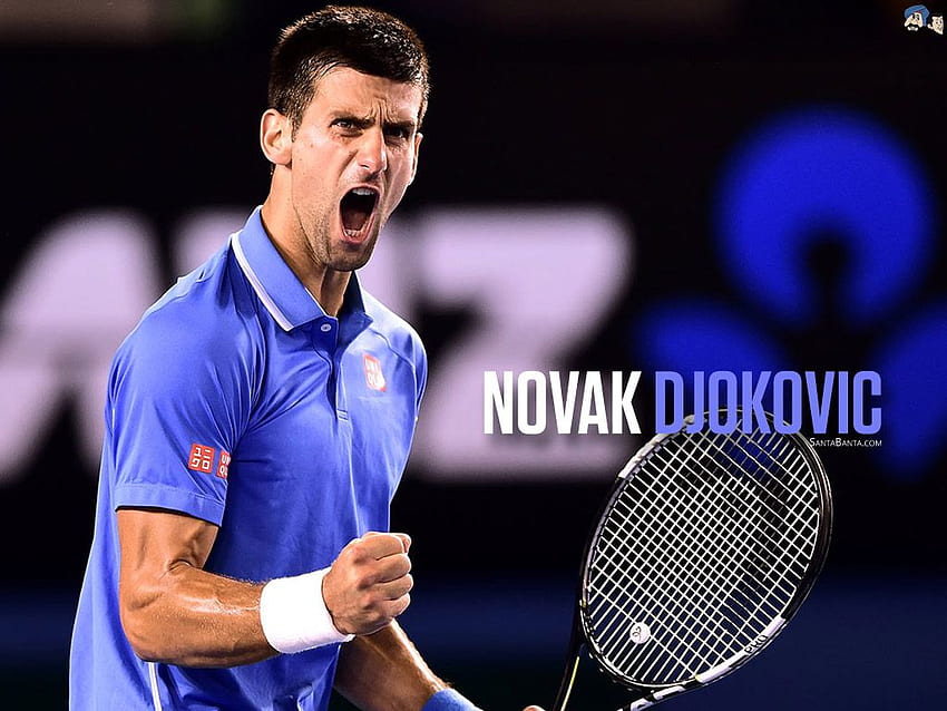 Novak Djokovic, Novak Đoković HD wallpaper