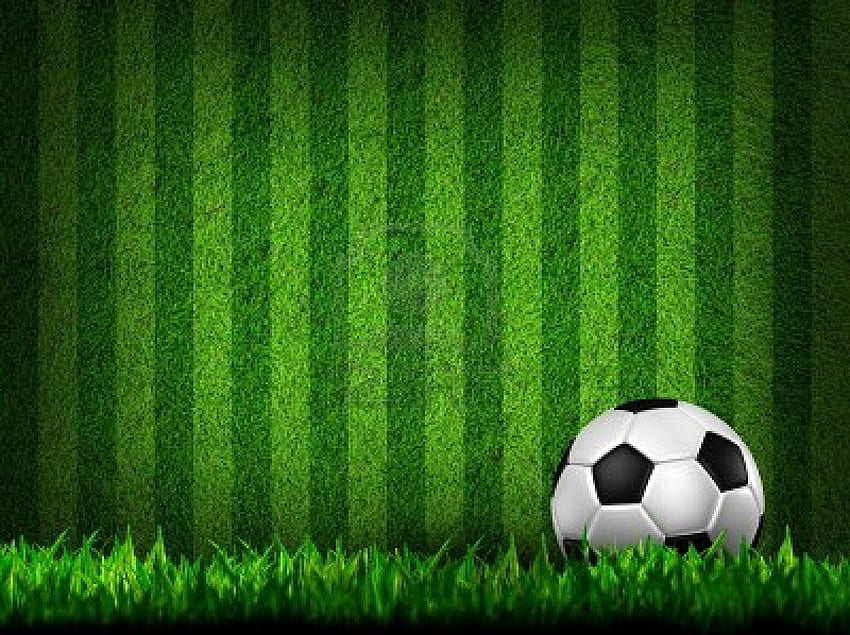 Soccer Field Background HD wallpaper