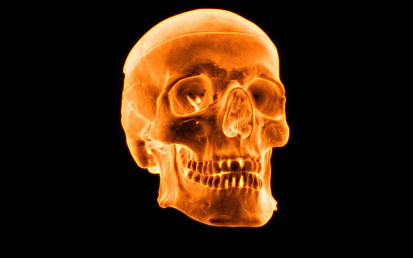 Rendez Vous Comics: 3D Fire Skull, Orange Skull HD wallpaper