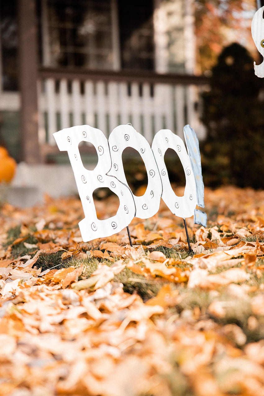 Halloween, autunno, foglie, parole, decorazione, parola Sfondo del telefono HD