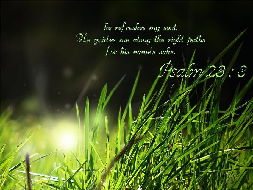 Salmo 23:3 <3. Fe amor esperanza. Verde fondo de pantalla