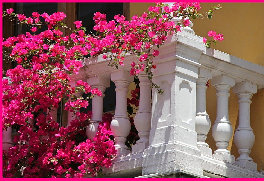 Balcon fleuri, floraison, architecture, balcon, maison Fond d'écran HD