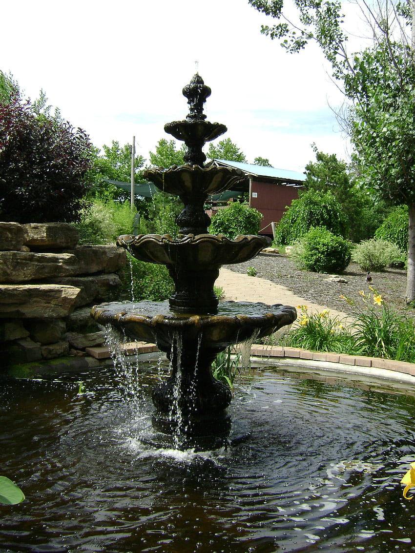: Fontana Zen - Alberi, Acqua, Bagnato Sfondo del telefono HD