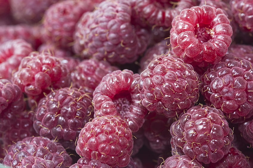 Food, Raspberry, Berries, Ripe, Juicy HD wallpaper