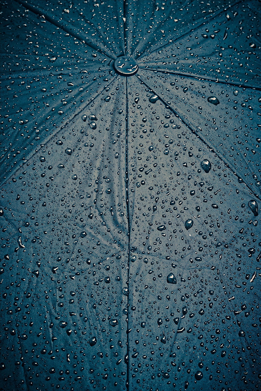 Rain, Drops, Wet, Texture, Textures, Surface, Cloth, Umbrella, Humid HD phone wallpaper