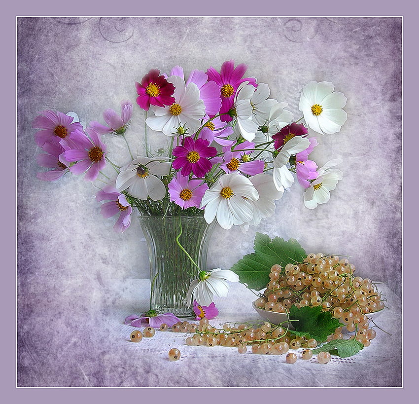静物、白、花束、グラフィック、花瓶、美しい、紫、ピンク、花、調和 高画質の壁紙