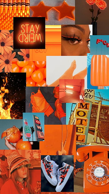 Download Neon Orange Aesthetic Collage Many Signs Wallpaper  Wallpaperscom
