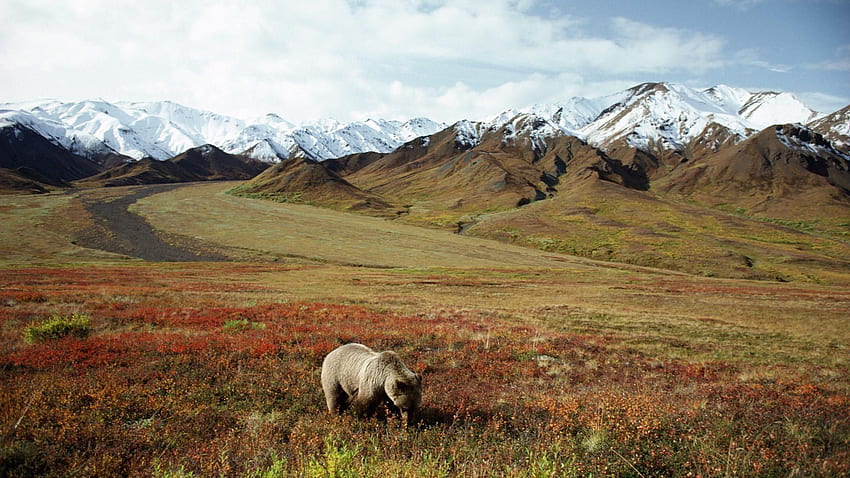 Alaska Range, Denali National Park, Alaska, USA – Photo Printing Pros