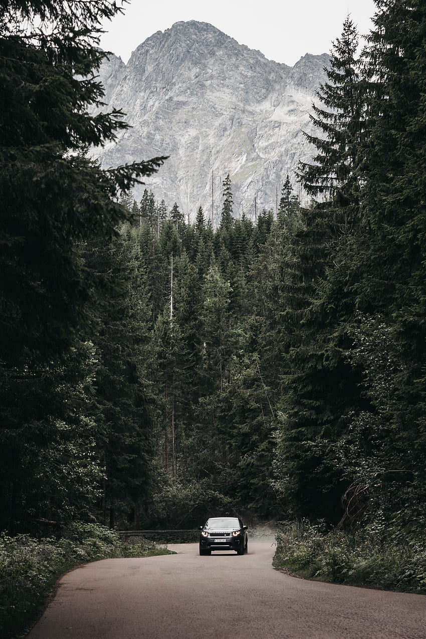 Mountains, Cars, Road, Forest, Car, Suv, Machine HD phone wallpaper