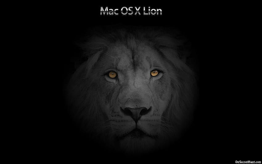 Black Lion HD wallpaper | Pxfuel