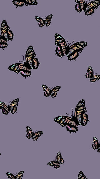 Butterfly babe HD wallpapers | Pxfuel