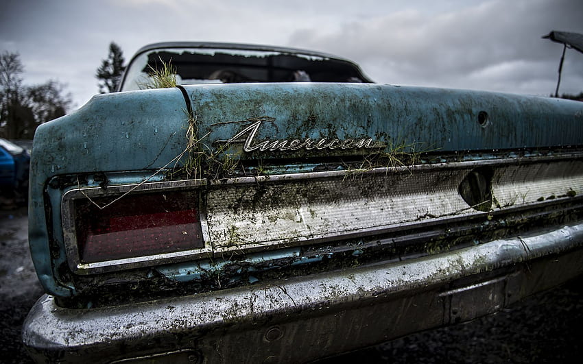 American Classic Car Classic Overgrowth Abandon Deserted Urban Decay, Rustic Old Cars HD wallpaper