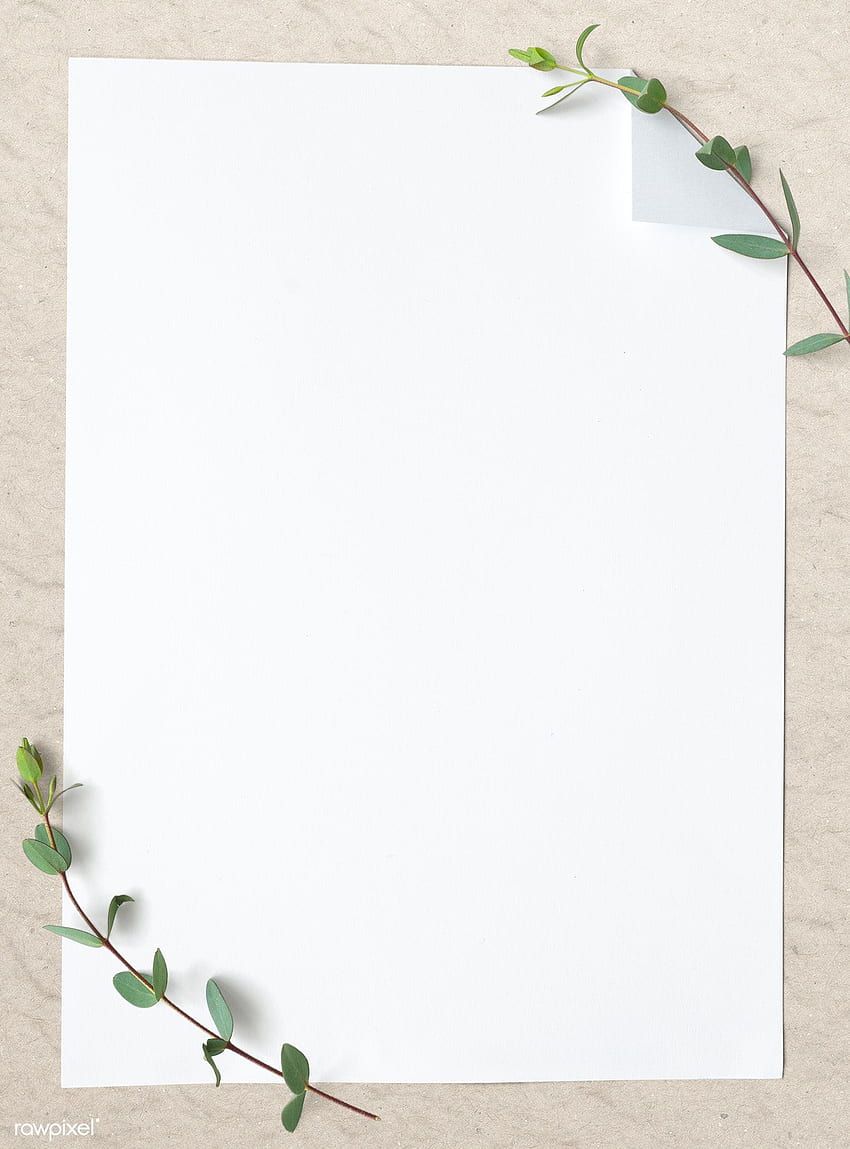 premium psd of Blank plain white paper template 1201907 HD phone wallpaper