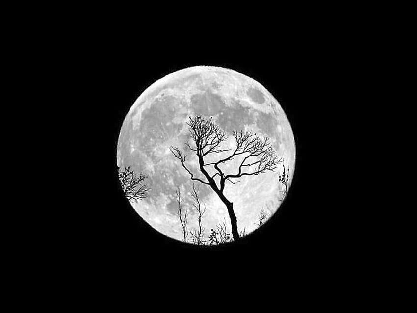 1179x2556px, 1080P Free download | Moon, black-and-white ...