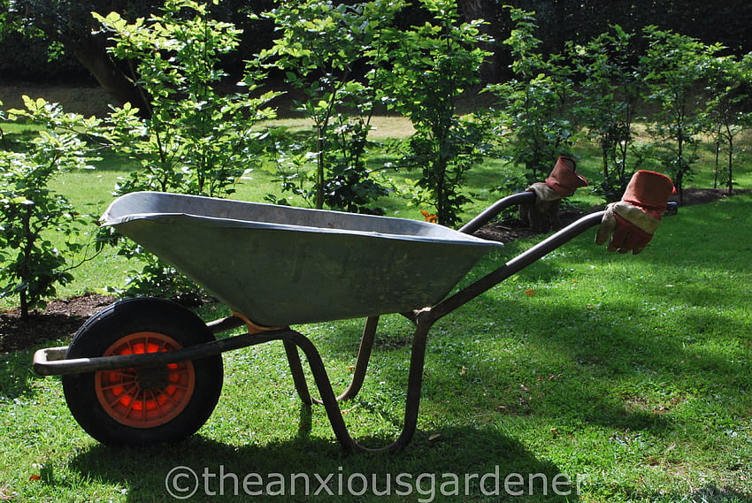 My Old Wheelbarrow. The Anxious Gardener HD wallpaper