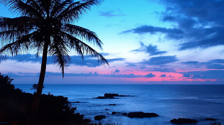Hawaii 20 [] for your , Mobile & Tablet. Explore Hawaiian Beach . Beach Hawaii, Hawaii Beach for, Hawaiian Sunrise HD wallpaper