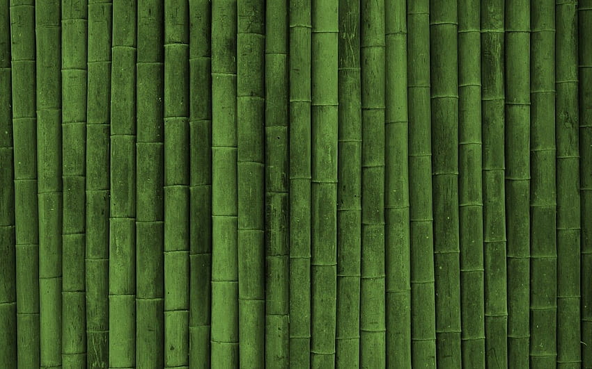 Beautifull Bamboo Green Wall Epic Background [] for your , Mobile & Tablet. Explore Green for Walls. Cheap , for Walls Kitchen HD wallpaper