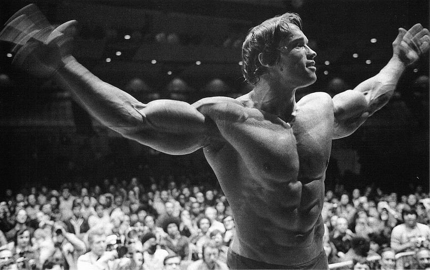 Arnold Schwarzenegger iPhone 6, Orang Kuat Wallpaper HD