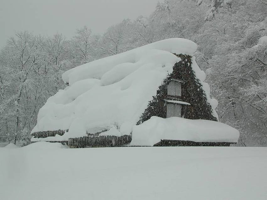 maison d'hiver, hiver, neige, maison, météo, forêt Fond d'écran HD