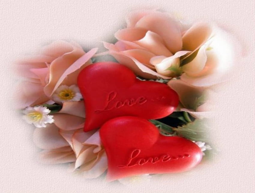 Сърца и рози, червени сърца, рози, любов HD тапет