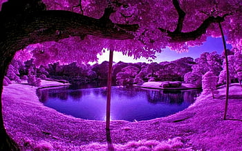 Purple Tree Wallpaper (51+ images)