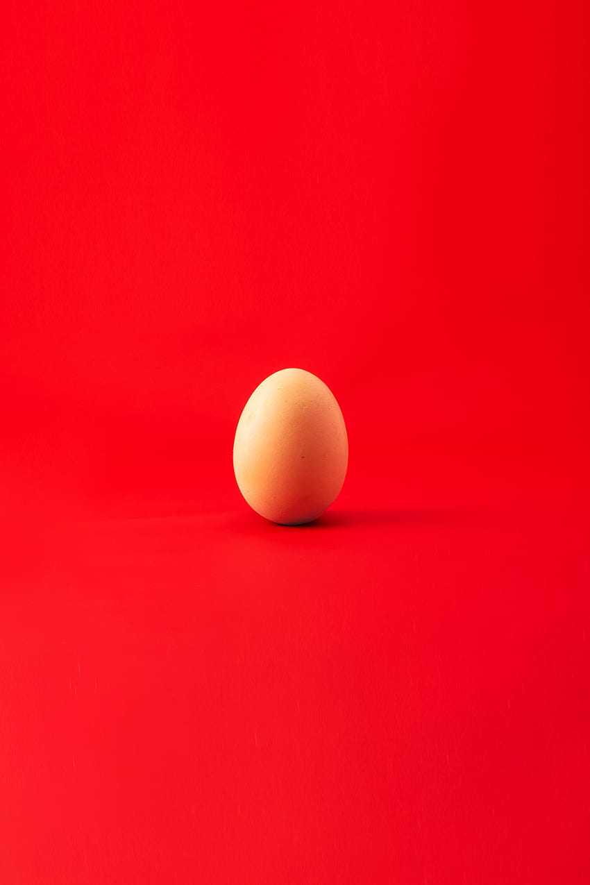 มินิมอล ไข่ ไข่ไก่ วอลล์เปเปอร์โทรศัพท์ HD