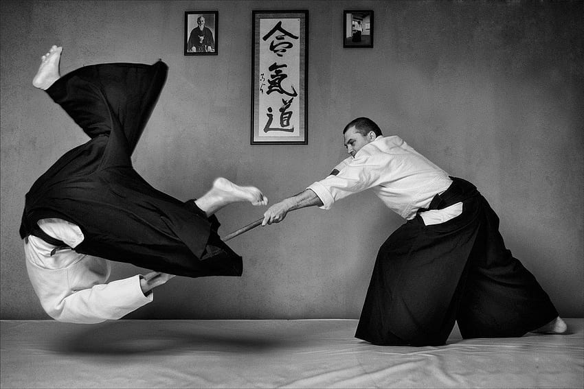 aikido. British Aikido Federation HD wallpaper