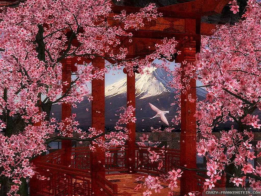 Japanese Cherry blossom blossoms cherry cherry tree flower flowers  japanese HD phone wallpaper  Peakpx