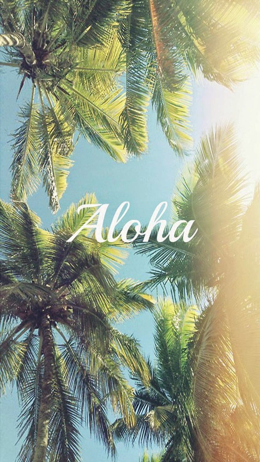 Aloha Hawaii aloha hawaii hawaiian HD phone wallpaper  Peakpx
