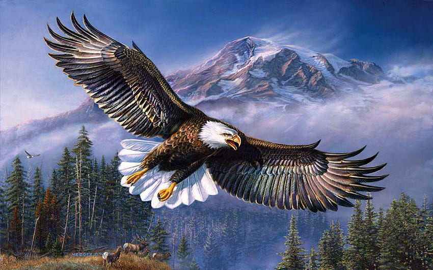 พื้นหลังที่สวยงาม Bald Eagle ในเที่ยวบิน, ปีกกระจาย, American Eagle วอลล์เปเปอร์ HD