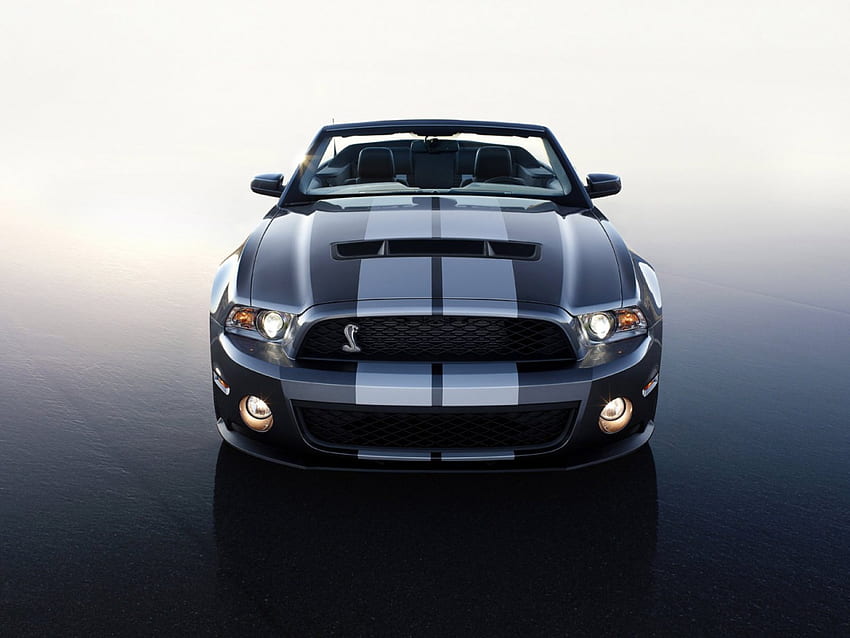 Ford-Mustang Shelby GT500 Convertible 2010, 2010, shelby, gt500 HD wallpaper
